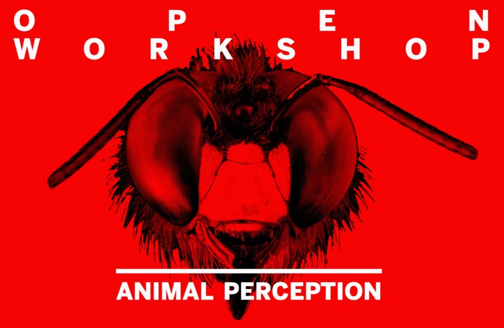 Animal Perception