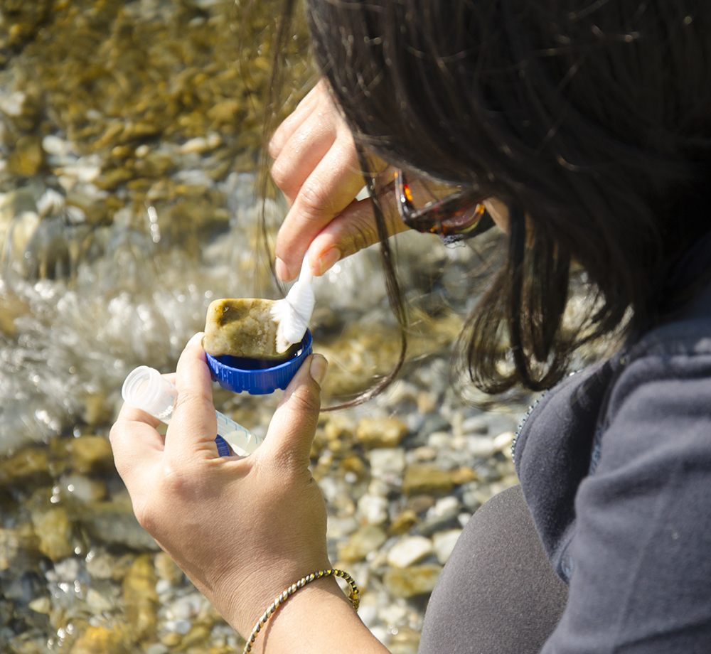 Water Sampling across Arunachal Pradesh