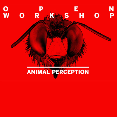 Open Workshop: Animal Perception